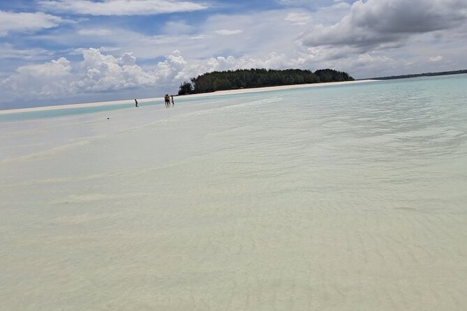 Mnemba Snorkeling, Dolphin and Baraka Natural Aquarium - Leaving from Zanzibar’s north beach