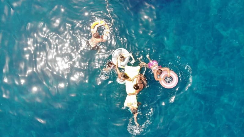 Mogan: Dolphin Watching Boat Trip with Swim Stop - Five things to know before you book