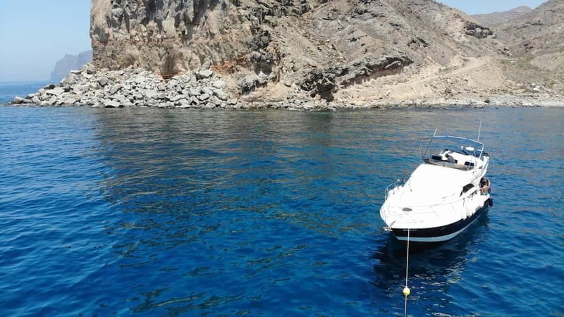 Mogan: Dolphin Watching Boat Trip with Swim Stop - Setting out from Puerto de Mogán