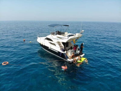 Mogan: Dolphin Watching Boat Trip with Swim Stop