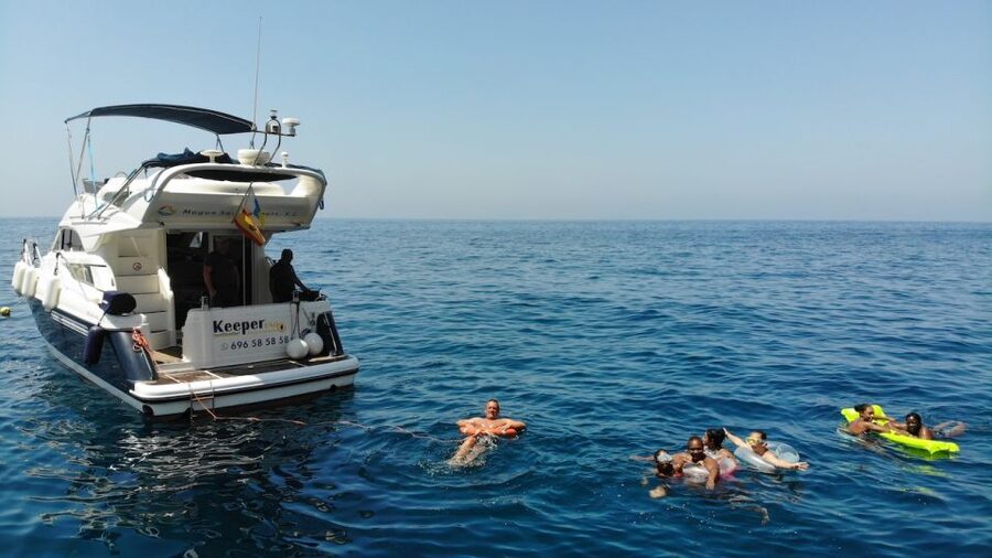Mogan: Dolphin Watching Boat Trip with Swim Stop - Who should book this dolphin trip?