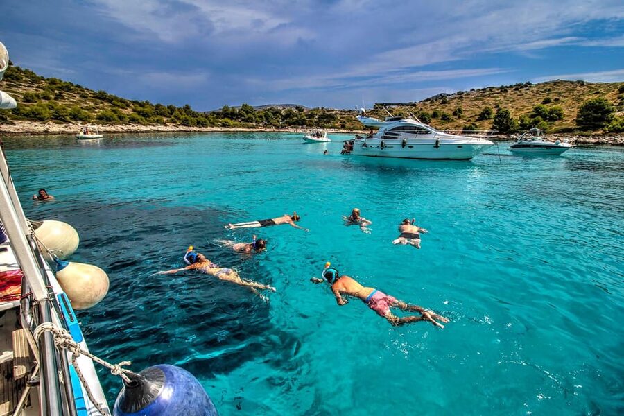 Molat Island Dolphin Watching Boat Tour 6hours TOUR - What the strongest feedback tells you