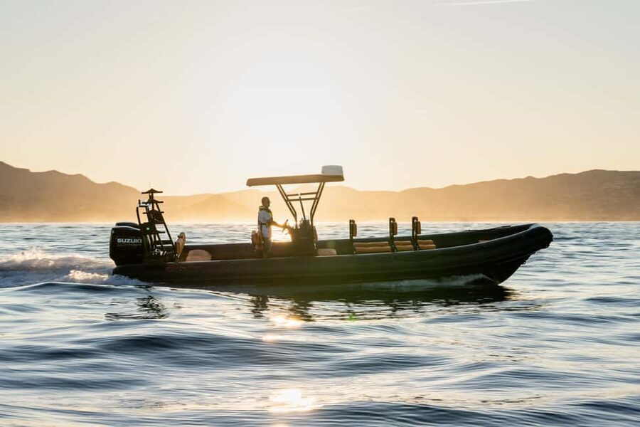 Molène Archipelago: Sea trips from Crozon. Seals, dolphins, - Key points before you book