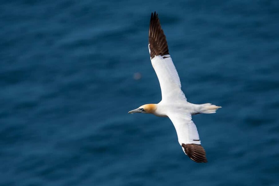 Molène Archipelago: Sea trips from Crozon. Seals, dolphins, - Clothing, comfort, and practical preparation