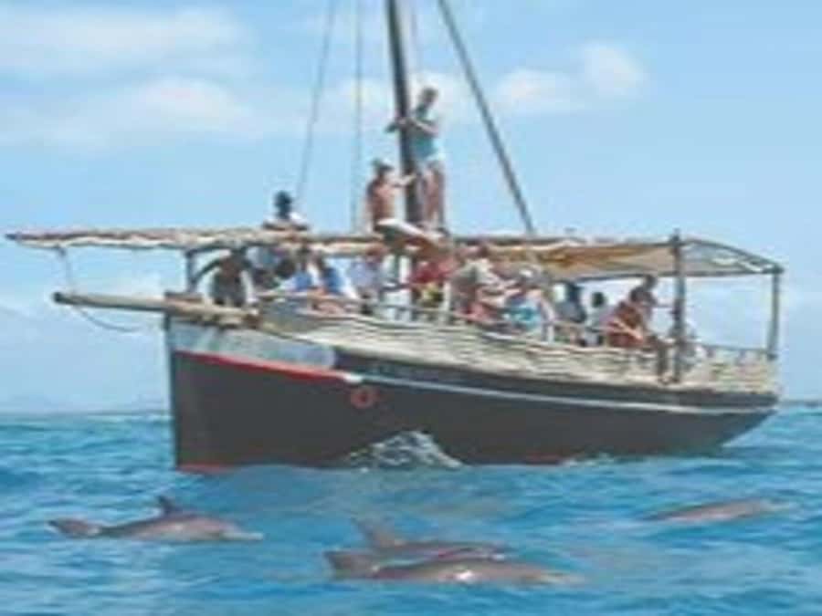 Mombasa: Snorkeling, Dolphin watching, seafood lunch. - Key points to know before booking