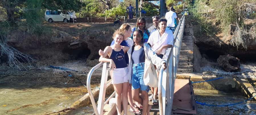Mombasa: Snorkeling, Dolphin watching, seafood lunch. - Looking for dolphins from the boat