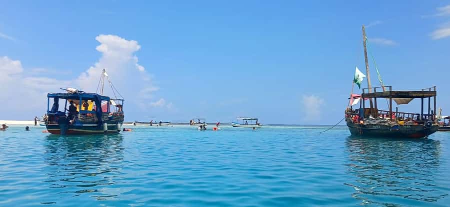 Mombasa: Wasini Dolphin Tour - Key points to know before you book