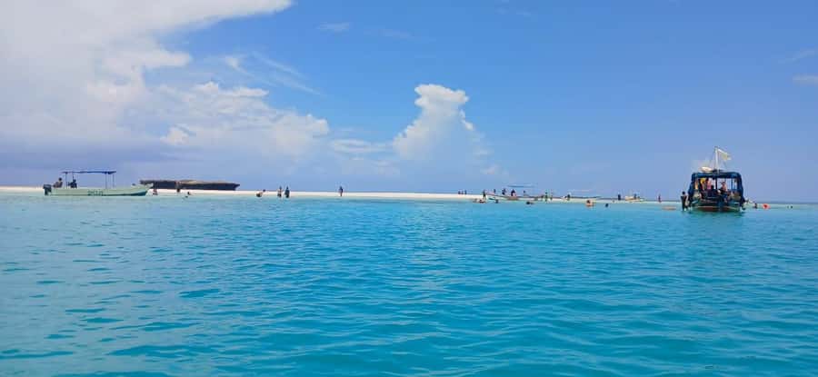Mombasa: Wasini Dolphin Tour - What the $115 price really covers