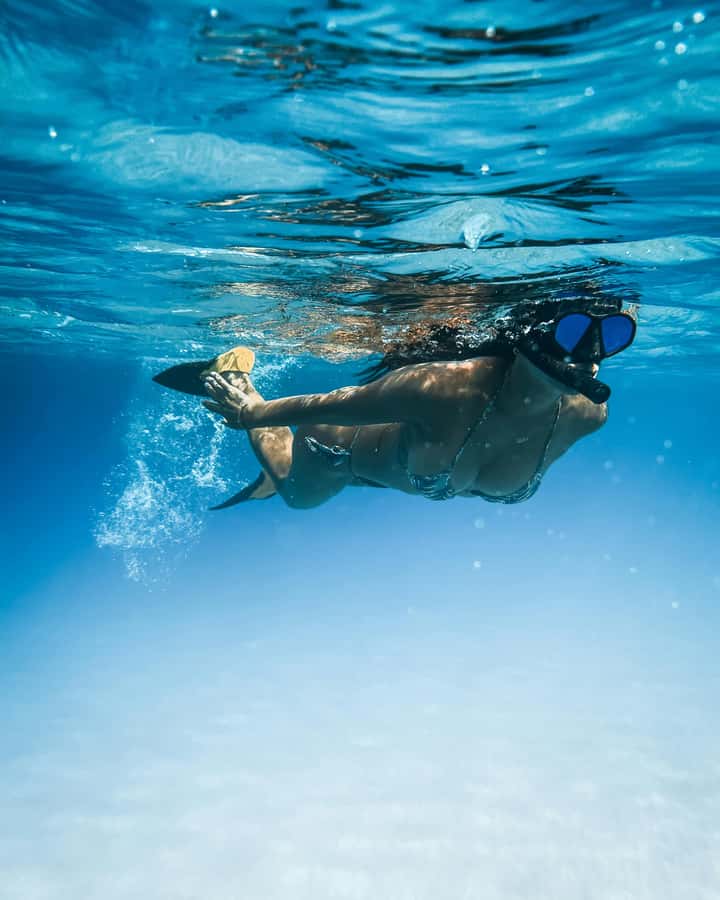 Mombasa: Wasini Dolphin Tour - Who will enjoy this most