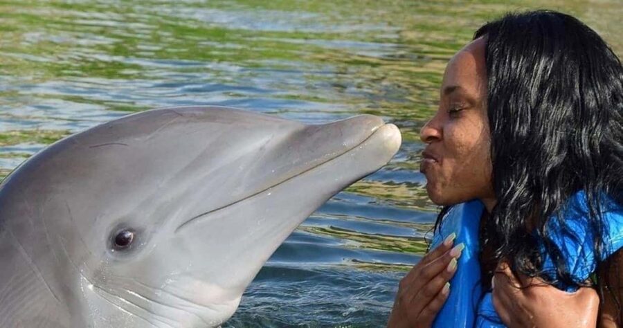 Montego Bay: Swim With The Dolphins Adventure in Lucea - Meeting the dolphins in Lucea