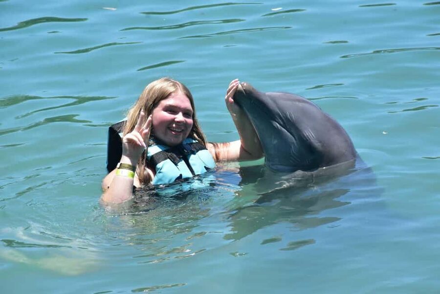 Montego Bay: Swim With The Dolphins Adventure in Lucea - What the 30-minute water session feels like