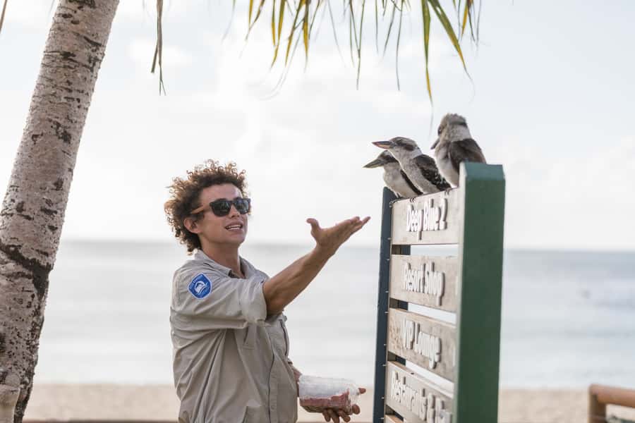 Moreton Island: Desert Safari Tour & Dolphin Viewing - The return boat and the late finish