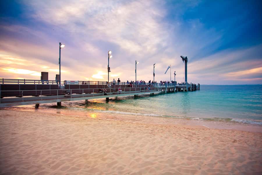 Moreton Island: Desert Safari Tour & Dolphin Viewing - Is $147 good value?