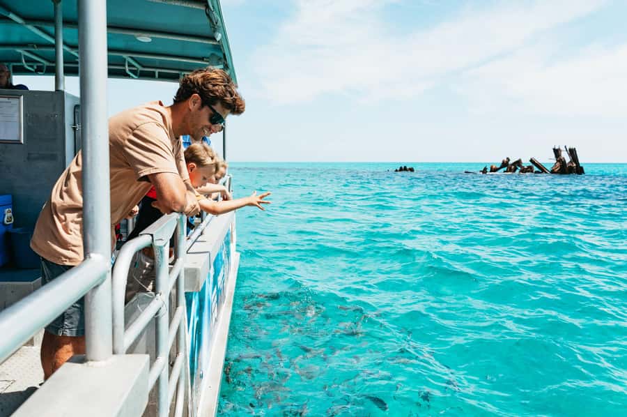 Moreton Island: Marine Discovery Cruise & Dolphin Feeding - From Holt Street Wharf to Moreton Island