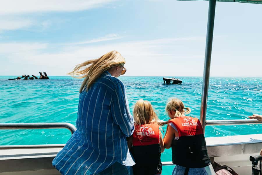 Moreton Island: Marine Discovery Cruise & Dolphin Feeding - The wild dolphin feeding at sunset