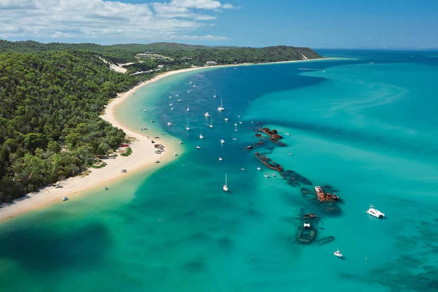 Moreton Island: Marine Discovery Cruise & Dolphin Feeding - Who should book this Moreton Island day trip?