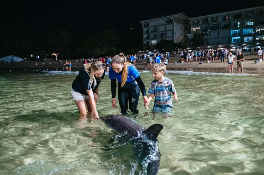 Moreton Island: Tangalooma Desert Safari and Dolphin Feeding - Tangalooma Island Resort as your island base