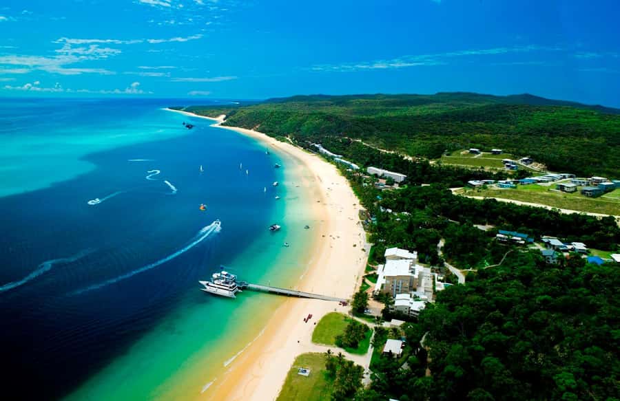 Moreton Island: Tangalooma Snorkeling Tour & Dolphin Feeding - Lunch vouchers make the $172 price easier to judge