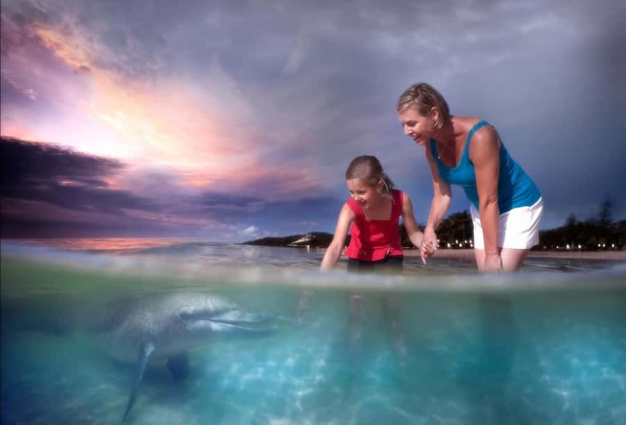 Moreton Island: Tangalooma Snorkeling Tour & Dolphin Feeding - Snorkeling the 15 Tangalooma Wrecks