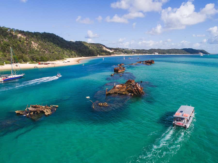 Moreton Island: Tangalooma Snorkeling Tour & Dolphin Feeding - Is the snorkeling suitable for you?