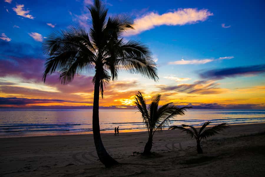 Moreton Island: Tangalooma Snorkeling Tour & Dolphin Feeding - How to get the most from the day