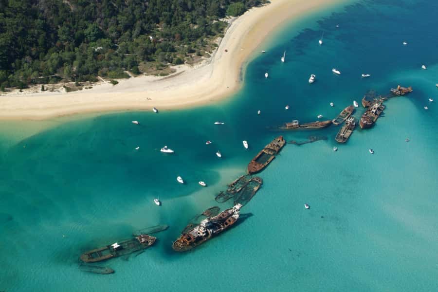 Moreton Island: Tangalooma Snorkelling with Dolphin Viewing - What the $157 price really covers