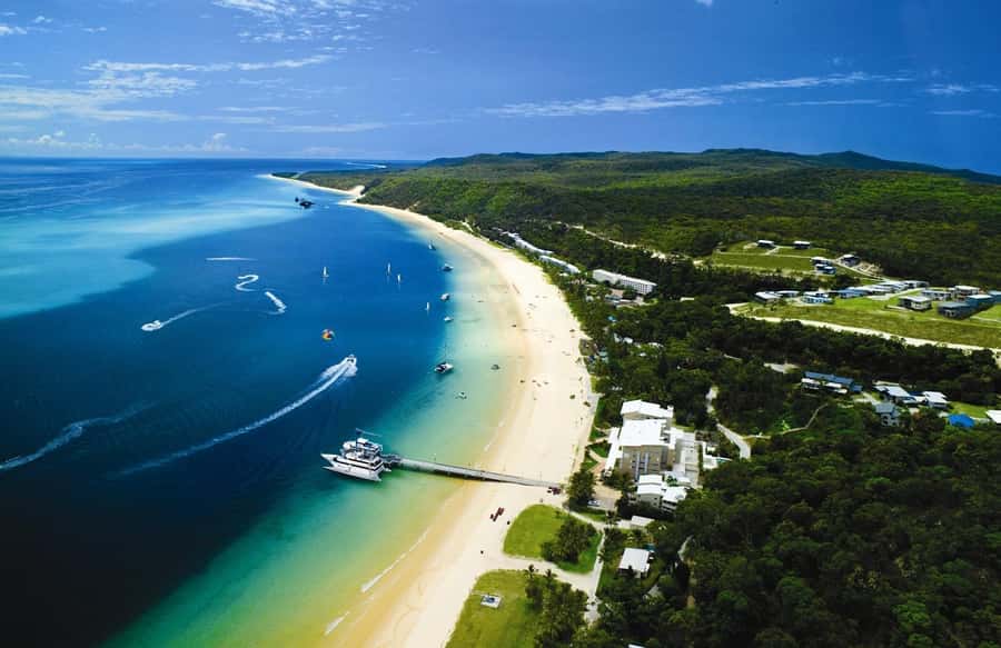Moreton Island: Tangalooma Whale Watching & Dolphin Feeding - The dolphin feeding is intimate, brief, and carefully controlled