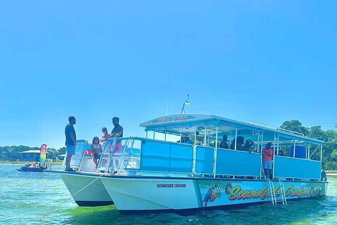 Morning Snorkel & Dolphin Adventure - Key Points to Know Before You Go