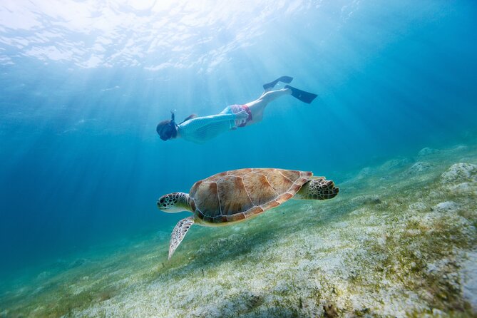 Morning Snorkel & Dolphin Adventure - Snorkeling in Shallow Water