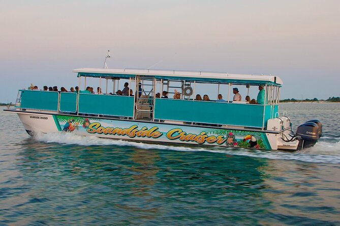 Morning Snorkel & Dolphin Adventure - Practical Tips for a Better Morning