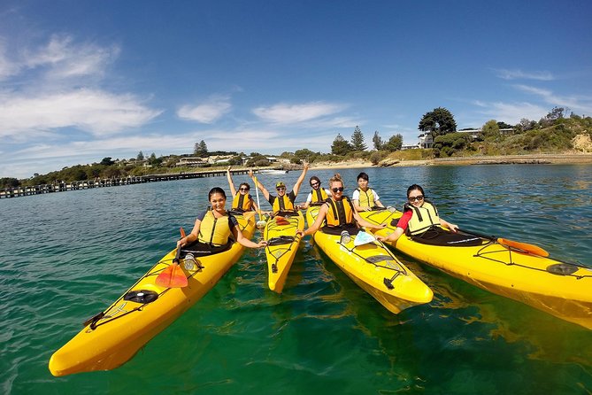 Mornington Peninsula Kayak Coastline Tour of Dolphin Sanctuary - Choosing the launch point by water conditions