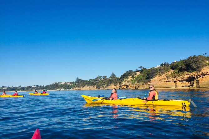 Mornington Peninsula Kayak Coastline Tour of Dolphin Sanctuary - Paddling toward Point Nepean National Park