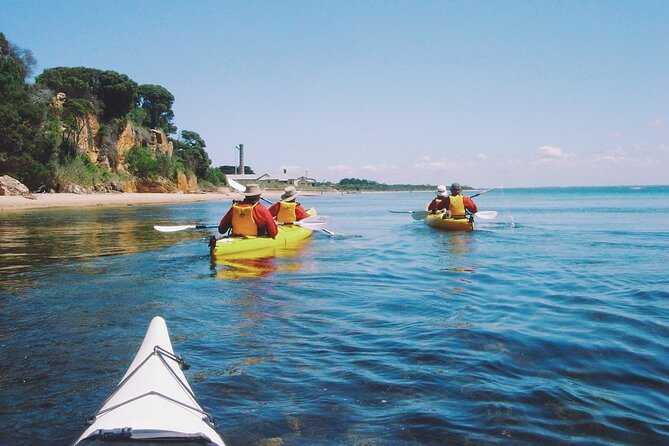 Mornington Peninsula Kayak Coastline Tour of Dolphin Sanctuary - A beach break after the first hour
