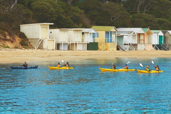 Mornington Peninsula Kayak Coastline Tour of Dolphin Sanctuary - Continuing through the Dolphin Sanctuary