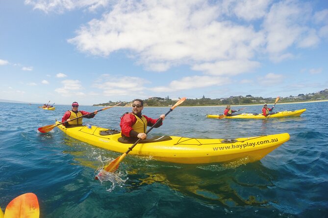 Mornington Peninsula Kayak Coastline Tour of Dolphin Sanctuary - Millionaires Walk from the water