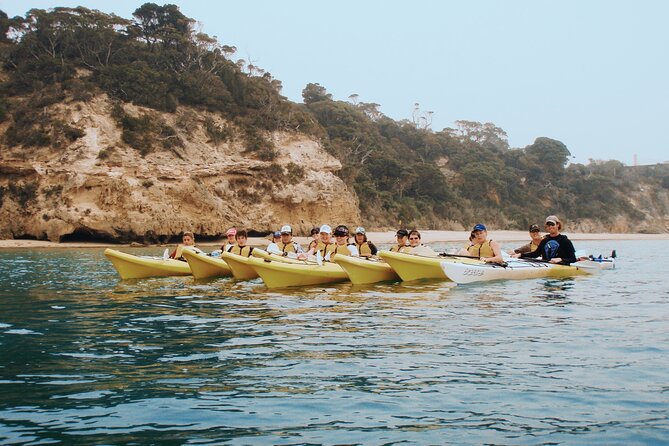 Mornington Peninsula Kayak Coastline Tour of Dolphin Sanctuary - What the $78.90 price includes