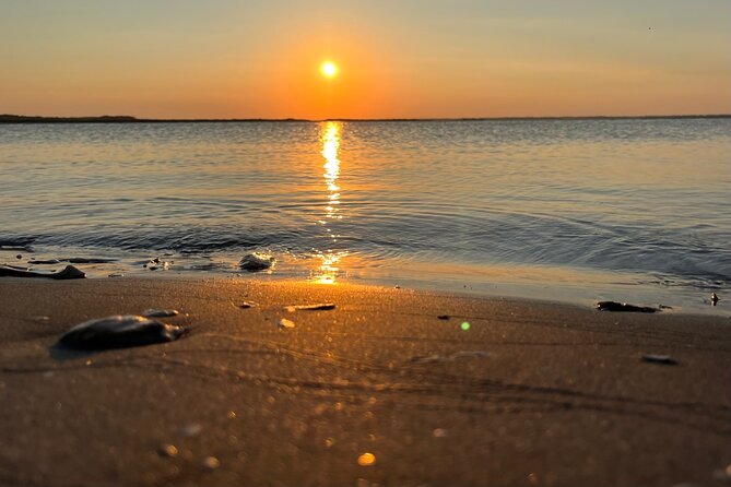 Morris Island Dolphin Cruise and Shelling Trip - Why the Private Boat Changes the Experience