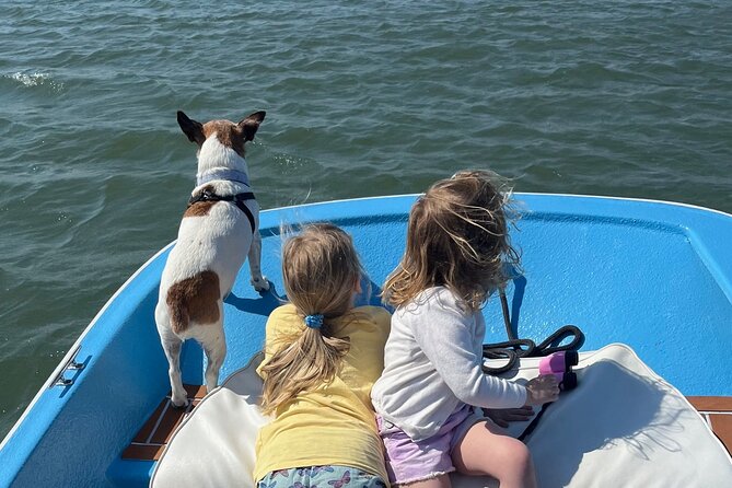 Morris Island Dolphin Cruise and Shelling Trip - Who Will Enjoy This Most