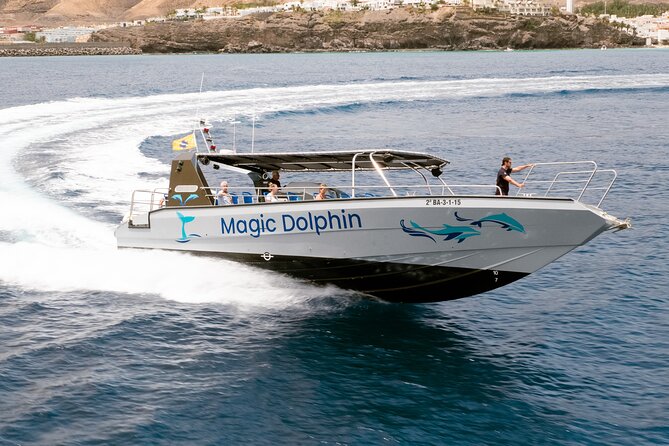 Morro Jable: 2 Hours Magic Dolphin & Whale watching with Drinks & Swim Stop. - The swim in Jandia Bay