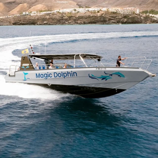 Morro Jable: Dolphin & Whale Watching Cruise, Drinks & Swim - The Jandia Swim Stop