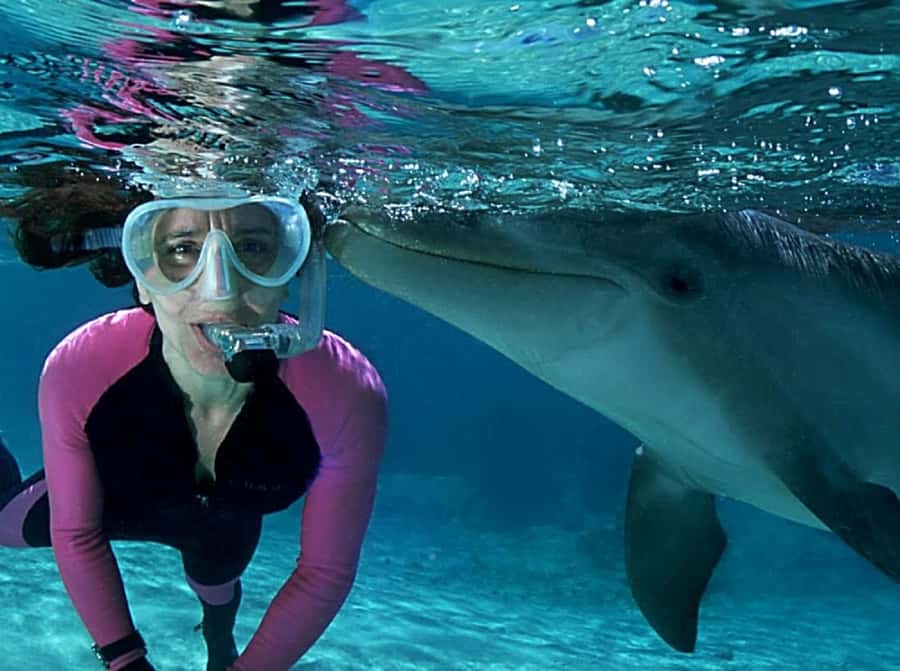 Muscat: 4-Hour Snorkeling Tour with Dolphin watching - What the boat time feels like for different swimmers
