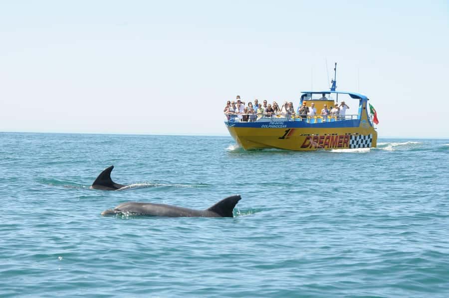 Muscat: 4-Hour Snorkeling Tour with Dolphin watching - Organization, guide support, and the port option