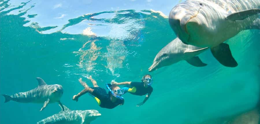 Muscat: 4-Hour Snorkeling Tour with Dolphin watching - What to bring for a smoother morning