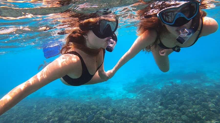 Muscat: Dolphin Watch & Snorkel Excursion - Snacks, drinks, and practical comfort