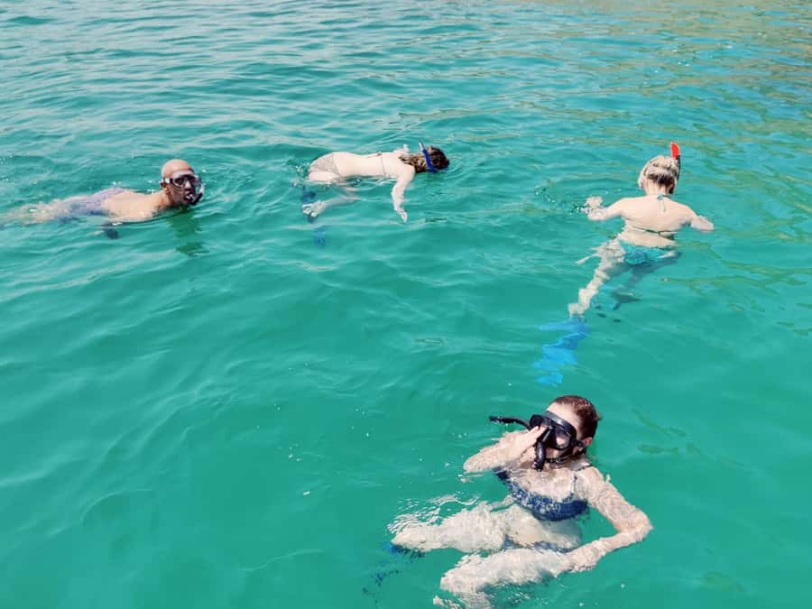 Muscat: Dolphin Watch & Snorkel Excursion - Should you book the Muscat dolphin and snorkel tour?