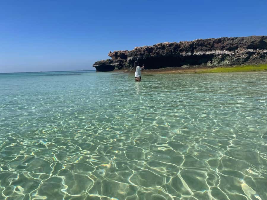 Muscat: Dolphin Watch & Snorkeling - Bandar Khairan and the snorkeling stop