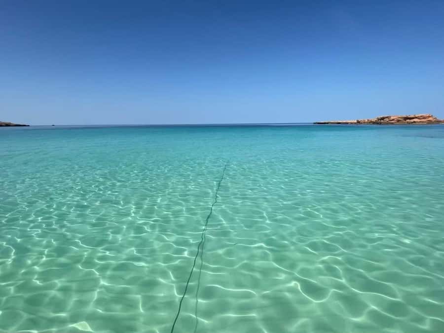 Muscat: Dolphin Watch & Snorkeling - The first stretch: open water and dolphin watching