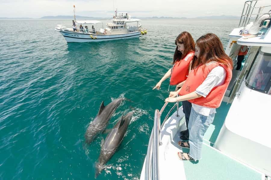Muscat: Dolphin Watching and Snorkeling Tour - Bandar Khiran Bay brings the underwater reward