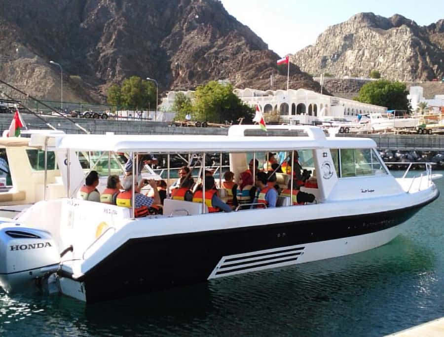 Muscat: Dolphin Watching and Snorkeling Tour - What the $90 price really covers