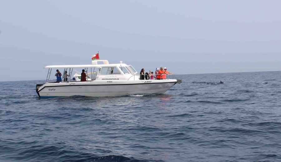 Muscat: Dolphin Watching and Snorkeling Tour By Speed Boat - The first search for dolphins